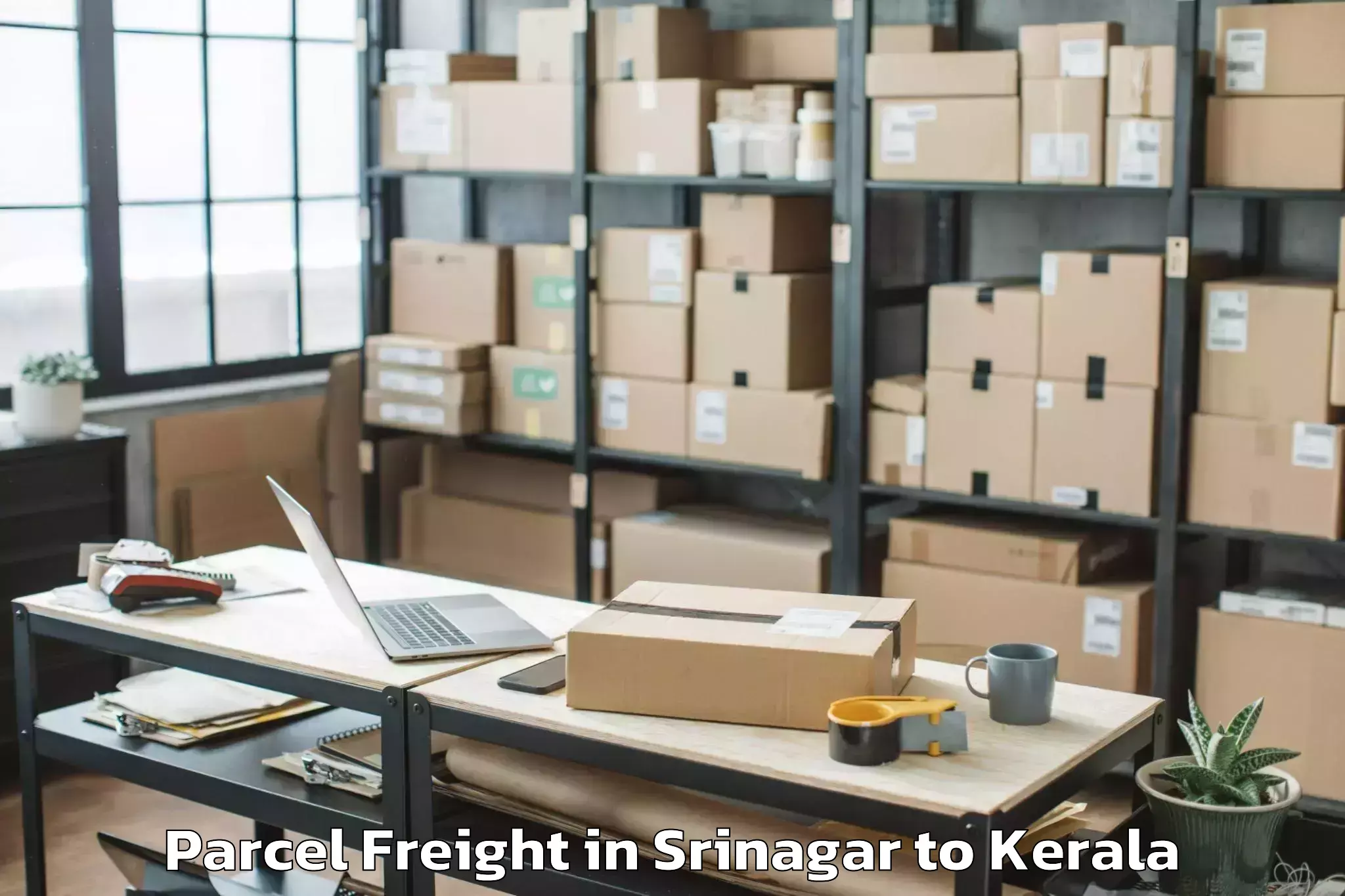 Reliable Srinagar to Marayur Parcel Freight